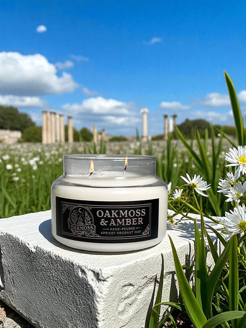 Dark Academia Library Candle - Oakmoss & Amber Scent, 12oz Apricot Coconut Wax